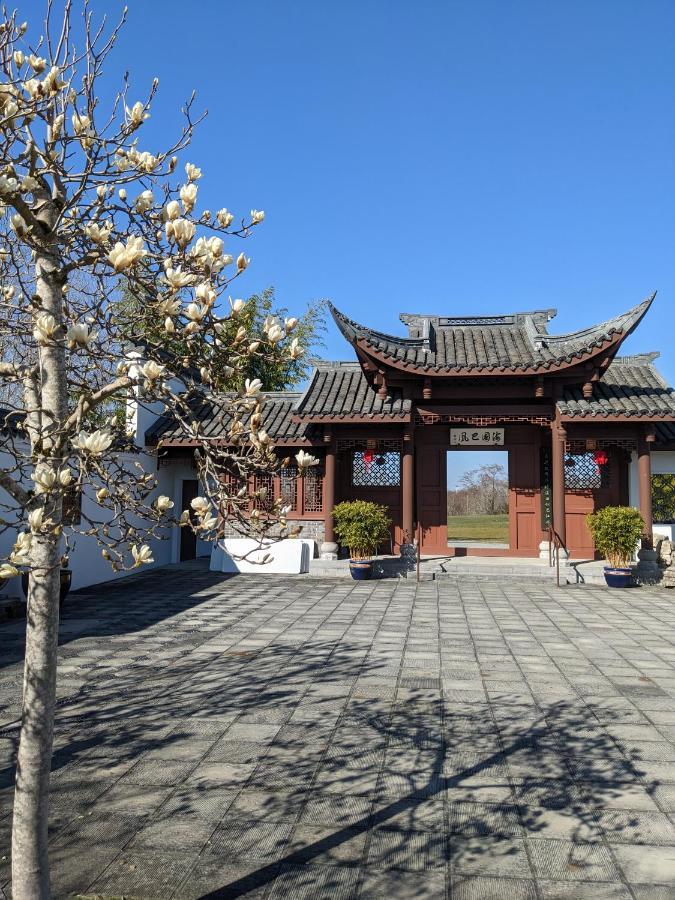 High Point Guesthouse - Next To Seattle Chinese Garden Dış mekan fotoğraf